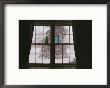 View Through A Window Looking Out At The Snow by Stephen St. John Limited Edition Pricing Art Print