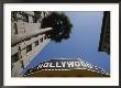 A Tour Bus Sign And A Palm Tree Scream Out Hollywood by Stephen St. John Limited Edition Print