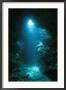 A Beam Of Sunlight Illuminates An Underwater Cave by Raul Touzon Limited Edition Print