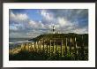 Lighthouse At Montauk With Dramatic Sky by Skip Brown Limited Edition Pricing Art Print