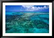 Devil's Backbone, A Ragged Shallow Reef That Borders The Northern End Of Eleuthera, Bahamas by Michael Lawrence Limited Edition Print