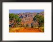 Natural Rock Formations Of Bungle Bungles And Dirt Road Leading To It, Purnululu Np, Australia by John Banagan Limited Edition Print