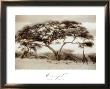 Serengeti Ii by Lorne Resnick Limited Edition Print