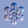 Snowflake by Kenneth Libbrecht Limited Edition Pricing Art Print