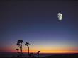 Scenic View Of Moon by Masataka Fukasawa Limited Edition Print