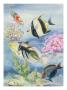 Fishes Swarm In A Coral Reef Lagoon by National Geographic Society Limited Edition Print