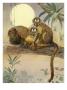 A Painting Of A Pair Of Owl Monkeys In A Tree by National Geographic Society Limited Edition Print