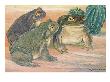 A View Of Three Colorado River Toads. by National Geographic Society Limited Edition Pricing Art Print