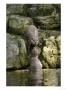 Asian Short Clawed Otters, Pair Of Otters Greeting On A Waterfall, Earsham, Uk by Elliott Neep Limited Edition Print