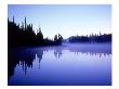 Reflection Lake At Dawn With Silhouetted Pines, Washington, Usa by Mark Hamblin Limited Edition Print