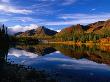 Denali National Park In Alaska, Denali National Park & Preserve, Usa by Mark Newman Limited Edition Print