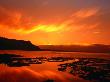 Sunset Over Beach On Goat Island, New Zealand by Jenny & Tony Enderby Limited Edition Print