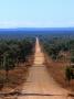 Dirt Road In Outback, Cape York Peninsula, Australia by Oliver Strewe Limited Edition Print