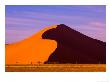 World's Tallest Sand Dunes, Namibia World Heritage Site, Namibia by Michele Westmorland Limited Edition Print