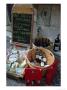 Wine And Cheese Shop, Lake Garda, Bardolino, Italy by Lisa S. Engelbrecht Limited Edition Print