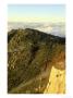 Cuyamaca Mountain 6, Cuyamaca State Park, California, Usa by Richard Herrmann Limited Edition Print