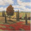 Chianti Country I by Kanayo Ede Limited Edition Print