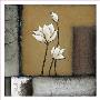 Magnolia Rustique I by H. Alves Limited Edition Print