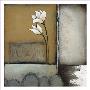Magnolia Rustique Ii by H. Alves Limited Edition Print