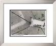 Poodle On Leash With Cement Patterns by Rick Zolkower Limited Edition Print