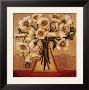 White Autumn Poppies by Shelly Bartek Limited Edition Print