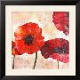 Poppies by Austen Limited Edition Pricing Art Print