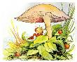 Fairy Under A Toadstool by Johnny Gruelle Limited Edition Print