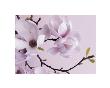 Magnolias by Lisa Barber Limited Edition Print