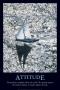 Hoa Qui Pricing Limited Edition Prints