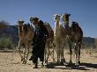 Air Mountains, Niger, Africa by Jon Hart Gardey Limited Edition Print