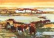 En Camargue I by Eliane Thiollier Limited Edition Print