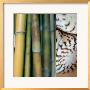 Bamboo Ii by Jennifer Broussard Limited Edition Pricing Art Print