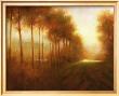 Line Of Trees At Dawn by Jim Mitchell Limited Edition Pricing Art Print