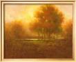 Golden Forest by Jim Mitchell Limited Edition Print