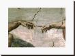 Creation Of Adam, Detail by Michelangelo Buonarroti Limited Edition Print