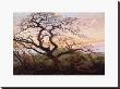 The Tree Of Crows, 1822 by Caspar David Friedrich Limited Edition Print