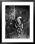 Entertainer Dora Pelletier Singing At Sammy's Bowery Follies by Alfred Eisenstaedt Limited Edition Print