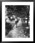 Postman Making His Regular Trip Down The Tree Lined Block Where He Has Delivered Mail For 20 Years by Alfred Eisenstaedt Limited Edition Print