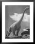 Large Statue Of Dinosaur In Dinosaur Park Tourist Attraction by Alfred Eisenstaedt Limited Edition Print