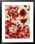 Roses by George Silk Limited Edition Print