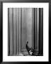 Student Leaning Against Ionic Columns At Entrance Of Main Building At Mit by Gjon Mili Limited Edition Pricing Art Print