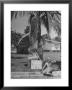 Young Girls Selling Lemonade From A Sidewalk Stand by Nina Leen Limited Edition Print