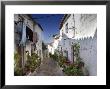 Medieval Quarter, Castelo De Vide Village, Alentejo, Portugal by Michele Falzone Limited Edition Print