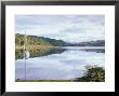 Yacht On Loch Feochan In Autumn, Argyll And Bute, Scotland, United Kingdom by Pearl Bucknall Limited Edition Print