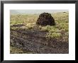 Peat Cutting, Connemara, County Galway, Connacht, Republic Of Ireland by Gary Cook Limited Edition Pricing Art Print