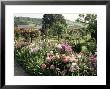 Garden, Monet's House, Giverny, Haute Normandie (Normandy), France by Ken Gillham Limited Edition Print