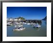 Harbour, Ilfracombe, North Devon, England, United Kingdom by Chris Nicholson Limited Edition Print