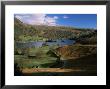 Rydal Water, Lake District National Park, Cumbria, England, United Kingdom by Roy Rainford Limited Edition Print