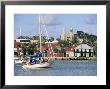 St. John's, Antigua, Leeward Islands, West Indies, Caribbean, Central America by John Miller Limited Edition Print