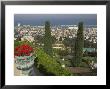 Elevated View Of City Including Bahai Shrine And Gardens, Haifa, Israel, Middle East by Eitan Simanor Limited Edition Print